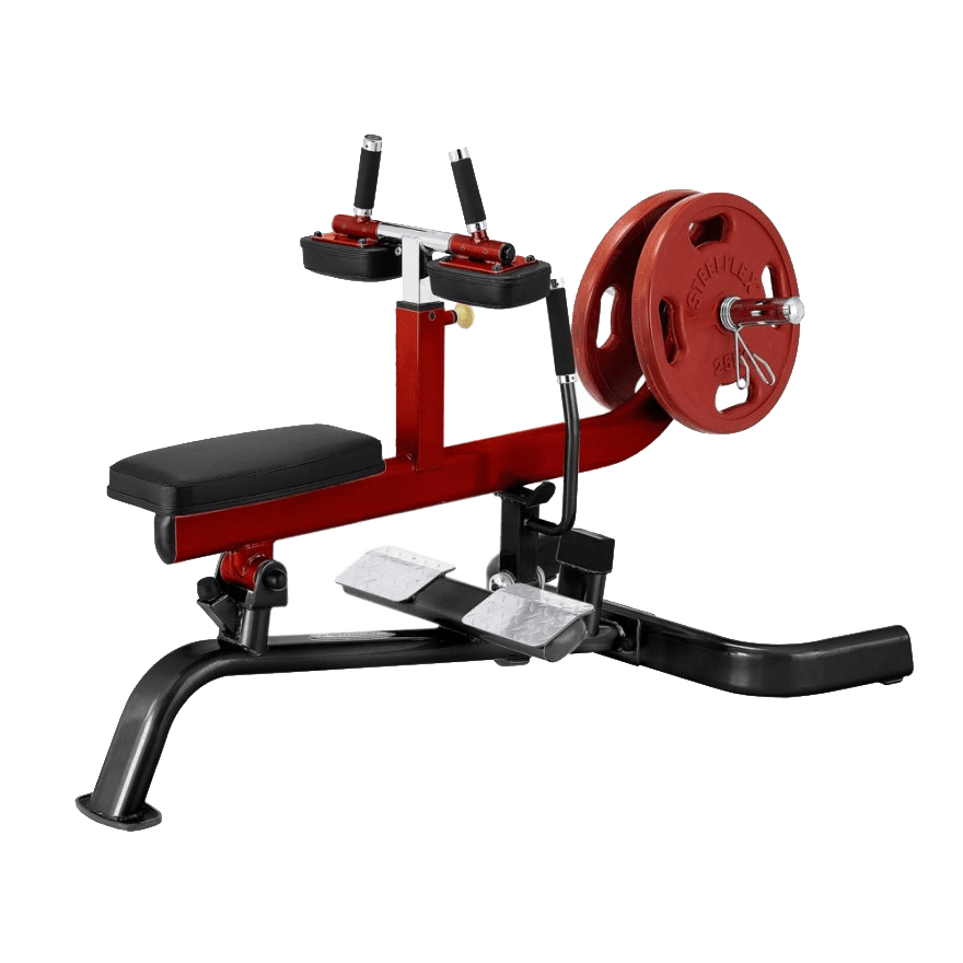 Bild von PLSC Plate-Load Wadenmaschine